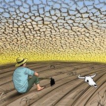 Estiagem no Piauí: água vira luxo e sustento rural ameaça entrar em colapso - @izanio_charges
