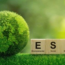 Sigla ESG impulsiona a crescente reação em prol da sustentabilidade - DINO