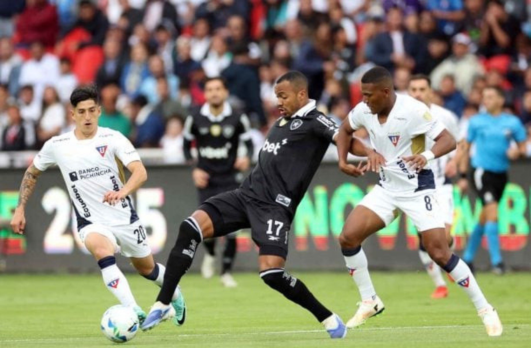 Eliminação do Botafogo na Libertadores provoca sensações terríveis