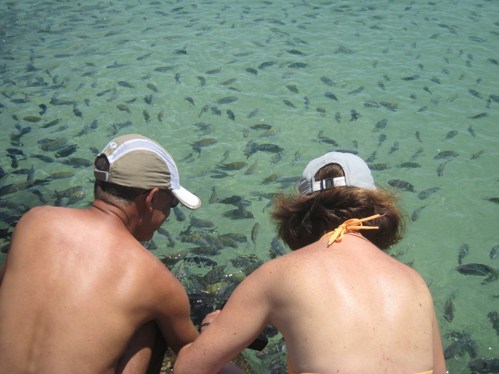  Nas águas rasas e cristalinas das piscinas naturais é possível observar centenas de peixes coloridos
- Carlos Altman/EM