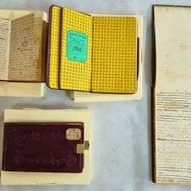 Anotações 'secretas' de Dom Pedro II serão restauradas por museu -  Divulgação