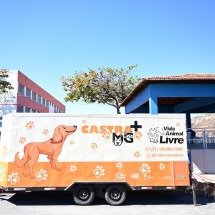BH tem primeira clínica móvel para atendimento veterinário gratuito  - Leandro Couri/EM/D.A. Press
