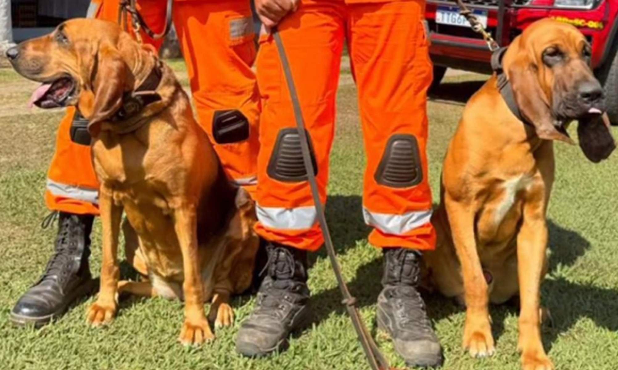 Jovem desaparece ao entrar em área de mata para procurar cavalo - 8&ordm; BBM/Divulga&ccedil;&atilde;o