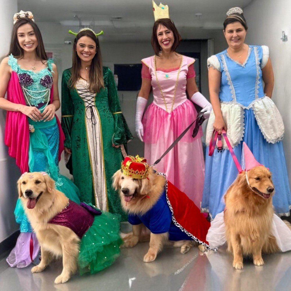 Projeto AUlegria promove visita de cães terapeutas a pacientes oncológicos em hospitais, levando alegria e muito "aumor"