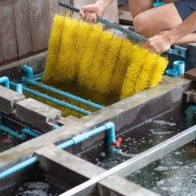 Escovas para tanques garantem higiene no setor agropecuário - DINO