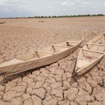 Persistência da seca na Amazônia exige logística integrada e resiliente - DINO
