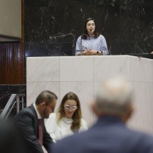 Deputada acusa secretário de estado da Cultura de 'falsidade ideológica' - Alexandre Netto/ALMG