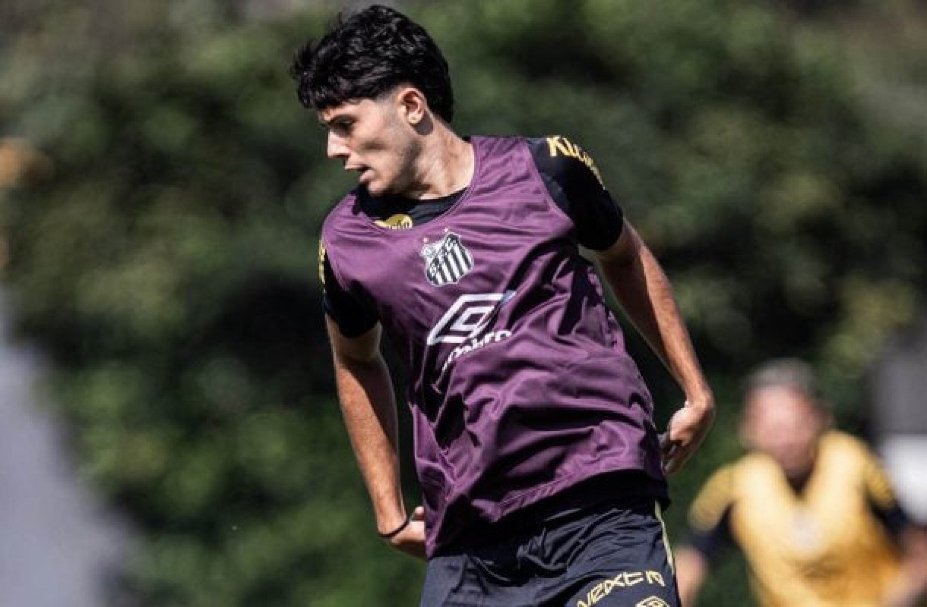 Veja números de Luca Meirelles, joia do Santos negociada com o Shakhtar por R$ 75 milhões