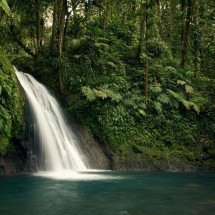 Ecoturismo combina contato com a natureza e sustentabilidade - DINO