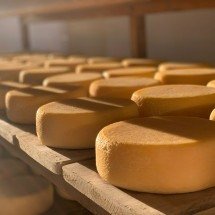 Unesco oficializa título do queijo mineiro artesanal - Thiago Vilela/Divulgação