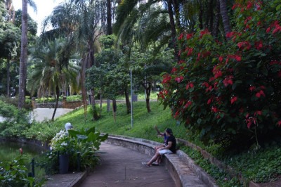 O Parque Municipal Américo Renné Giannetti, no coração de Belo Horizonte, vai realizar uma trilha acessível para crianças e jovens com deficiência neste sábado (30/8) -  (crédito: Gladyston Rodrigues/EM/D.A. Press. Brasil. Belo Horizonte-MG)