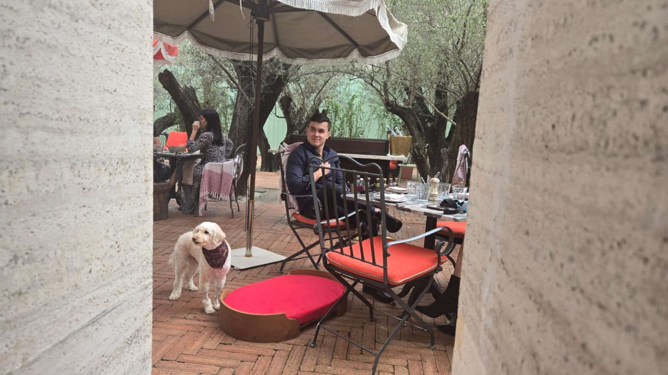 Pets são muito bem-vindos ao Rosewood e recebem o carinho dos funcionários-Carlos Altman/EM