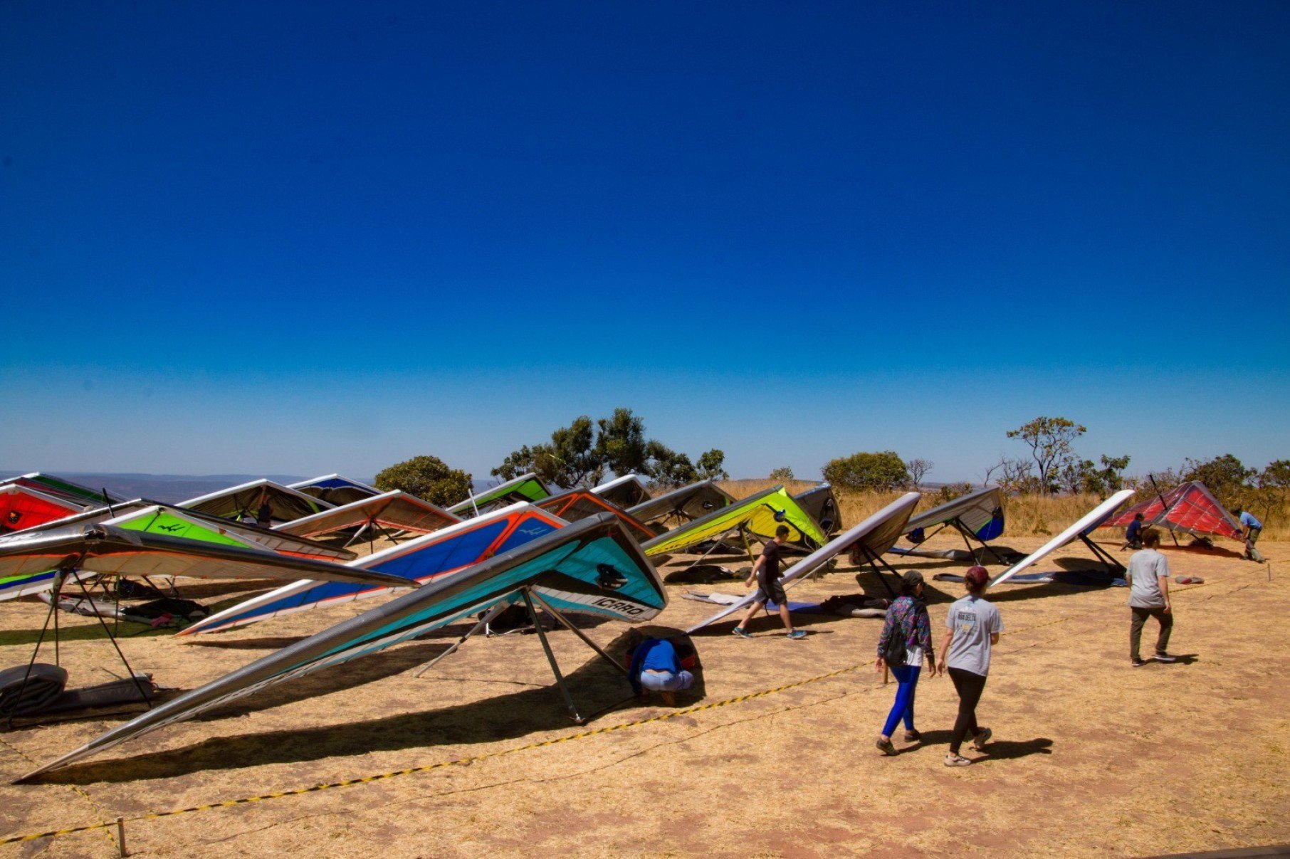 Fazenda alia produção, pesquisa, proteção ambiental e incentivo ao esporte - DINO