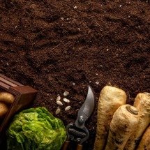 Alimentação saudável: fórum em São Paulo começa nesta terça-feira (2/9) - FreePIk