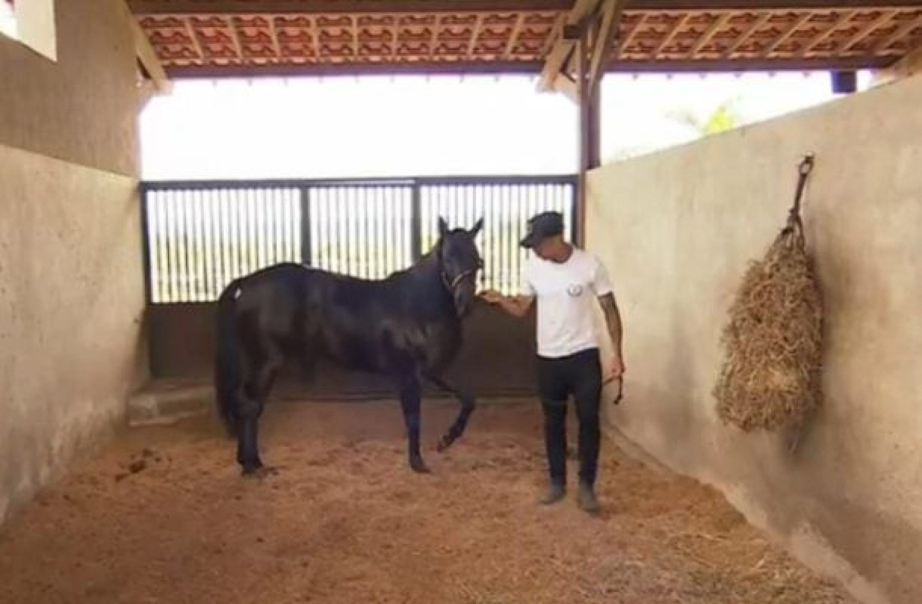 Refúgio em haras próprio e posse de cavalo compartilhada: o lado B de Kaio Jorge