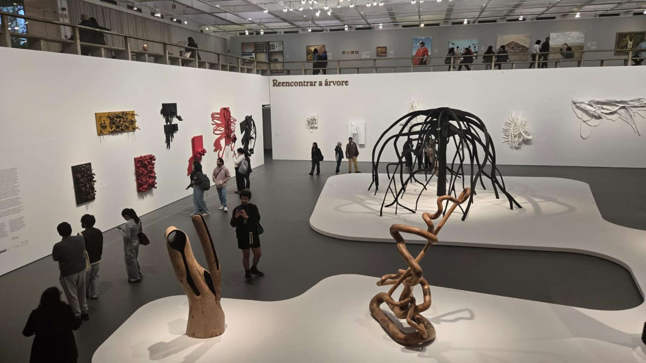Mostra 