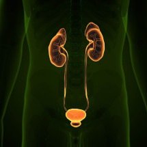 Tecnologia transforma tratamentos na urologia moderna - DINO