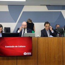 Secretaria de Cultura de MG retoma edital da Lei Aldir Blanc - Henrique Chendes/ ALMG