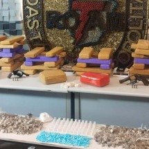 Estoque de barras de maconha é encontrado em operação que prendeu dois - Divulgação/PMMG