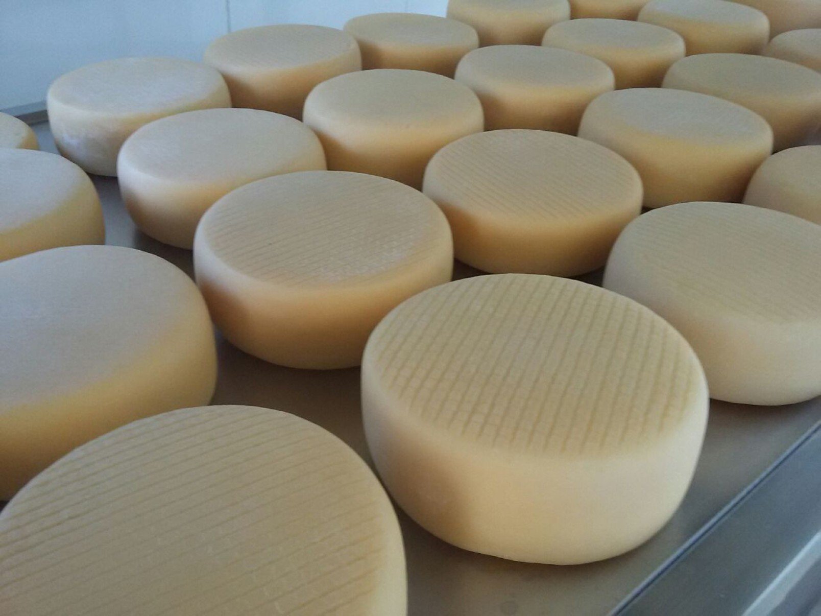 Queijo de Araxá