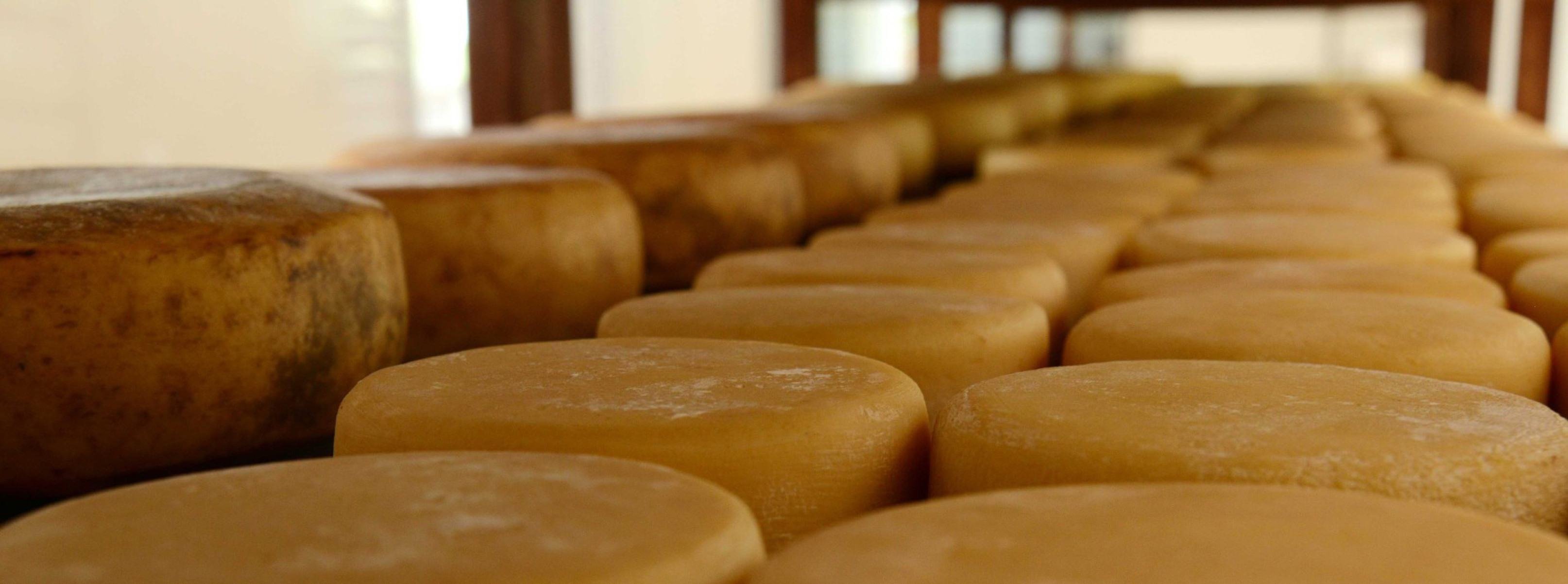 Queijo Canastra     