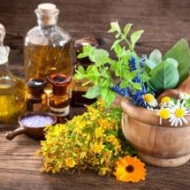 10 ervas que podem te ajudar a ter sonhos lúcidos - Wemystic
