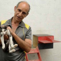 Moda, arte, gastronomia e muitos gatos pelos corredores - Tulio Santos/EM/D.A Press