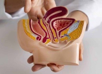 Cerca de 5% a 10% dos casos de c&acirc;ncer colorretal t&ecirc;m origem heredit&aacute;ria clara. J&aacute; os demais 90% s&atilde;o considerados espor&aacute;dicos, relacionados majoritariamente a fatores ambientais e ao estilo de vida   -  (crédito: Freepik))