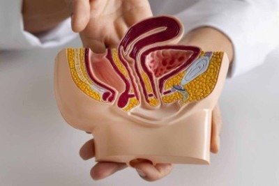 Cerca de 5% a 10% dos casos de c&acirc;ncer colorretal t&ecirc;m origem heredit&aacute;ria clara. J&aacute; os demais 90% s&atilde;o considerados espor&aacute;dicos, relacionados majoritariamente a fatores ambientais e ao estilo de vida   -  (crédito: Freepik))