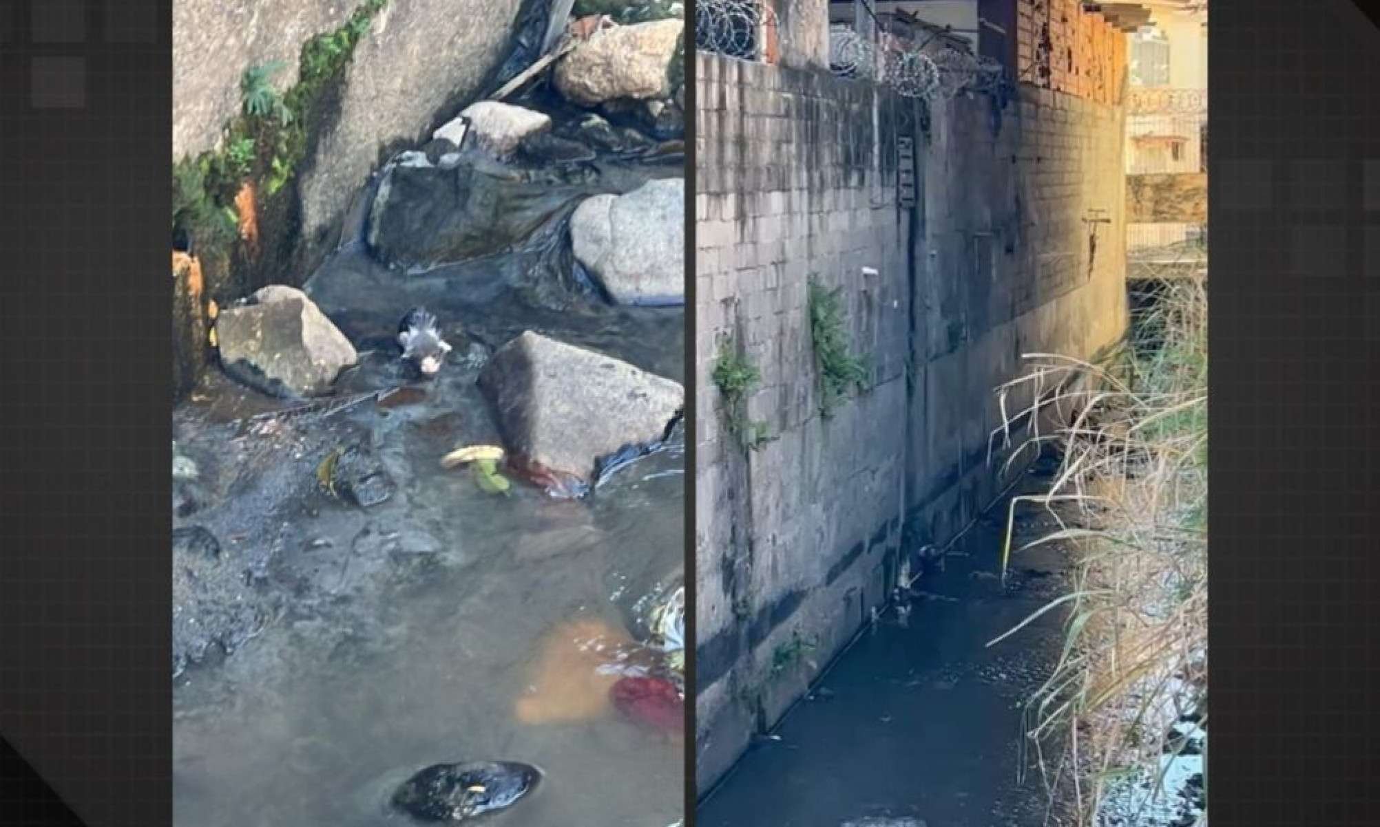 Vídeo: mulher é flagrada jogando filhotes de gato em rio no Engenho Novo - Tupi