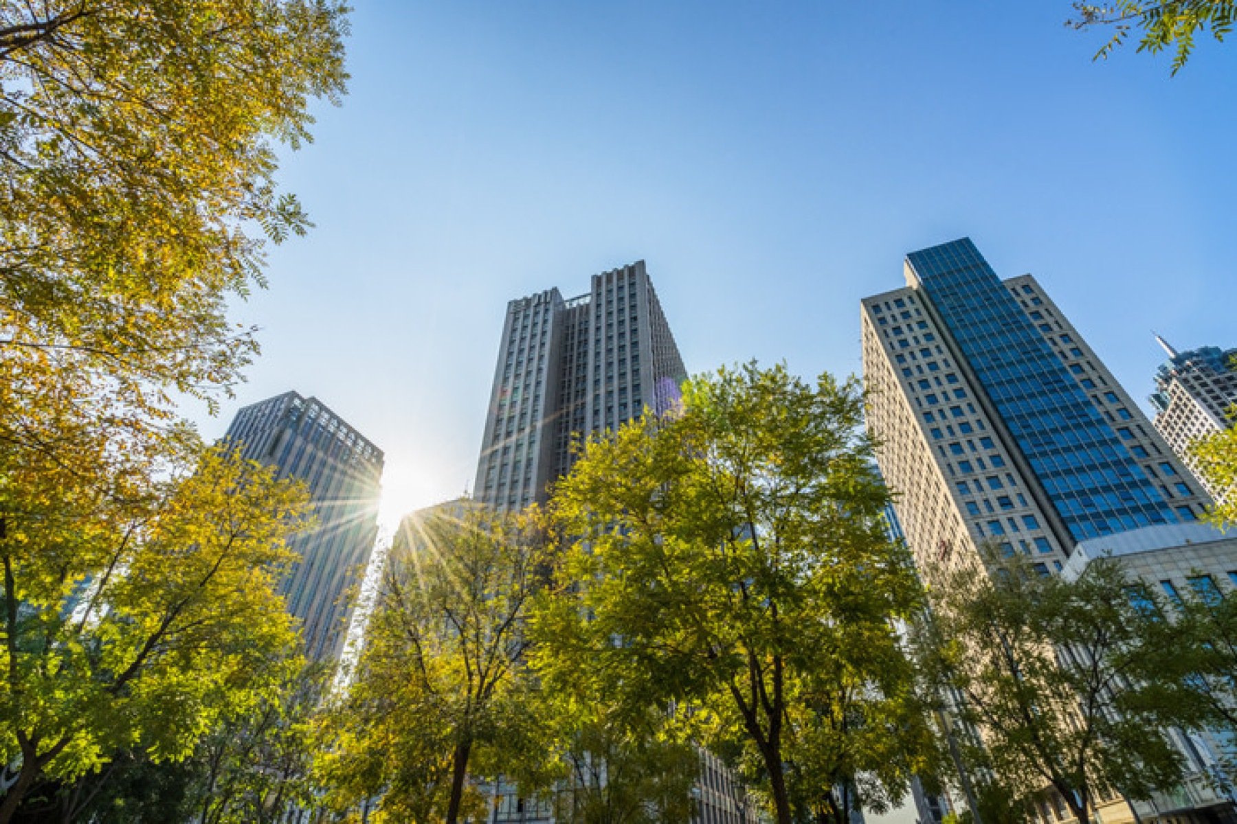 Empresas avançam na estratégia ESG, mas falham na prática -  Getty Images/iStockphoto