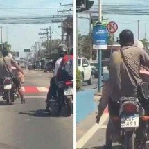 Homens são flagrados levando porco vivo em uma moto - Reprodução / redes sociais