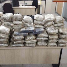Carga milionária de drogas apreendida com casal em rota do tráfico MG/ES - PMMG