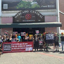 BH: ativistas protestam contra venda de animais no Mercado Central - MMDA/Divulgação 