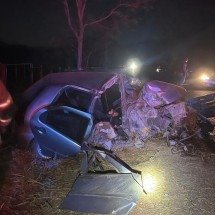 Motorista morre e 3 mulheres ficam feridas após carro bater em árvore em MG - CBMMG