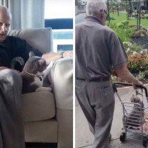 Homem de 93 anos e gato idoso viralizam com vídeos de rotina - TikTok / reprodução