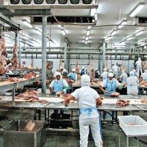 Exportadores de MG miram menos custos e mais clientes para driblar tarifaço - Plena Alimentos/Divulgação – 13/8/14
