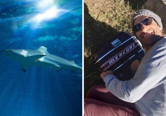 FreePik / Redes sociais