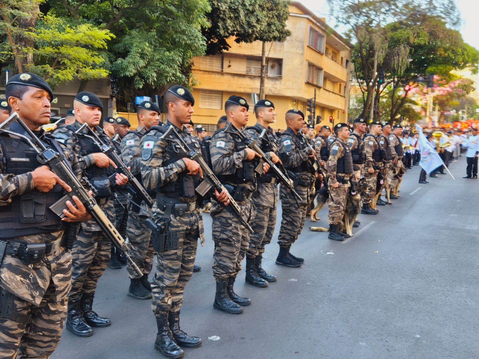 Tradicional desfile de 7 de Setembro é realizado neste domingo (7/9) na Avenida Afonso Pena, no Centro de Belo Horizonte-Jair Amaral/EM/DA Press