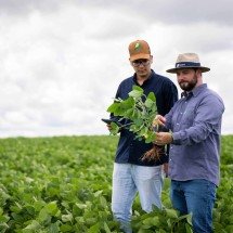 Bom Jesus publica segundo Relatório de Sustentabilidade - DINO