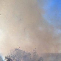 Moradores de condomínio na Grande BH tentam combater incêndio em vegetação - Reprodução / moradores do Condomínio Mirante do Fidalgo