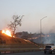Incêndio atinge vegetação em área próxima ao Aeroporto de Confins  - Marcos Vieira / EM/D.A Press