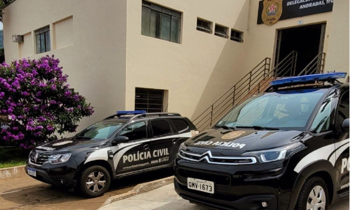 Investigações foram conduzidas por policiais civis de Andradas -  (crédito: PCMG)