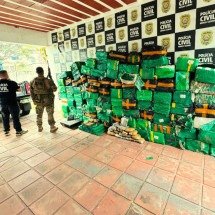 Juiz de Fora: 2 t de maconha e 10 kg de haxixe são apreendidos em sítio  - Divulgação/Polícia Civil