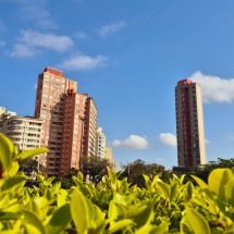 BH terá calorão e baixa umidade nesta terça-feira (9/9) - Jair Amaral/EM/DA Press