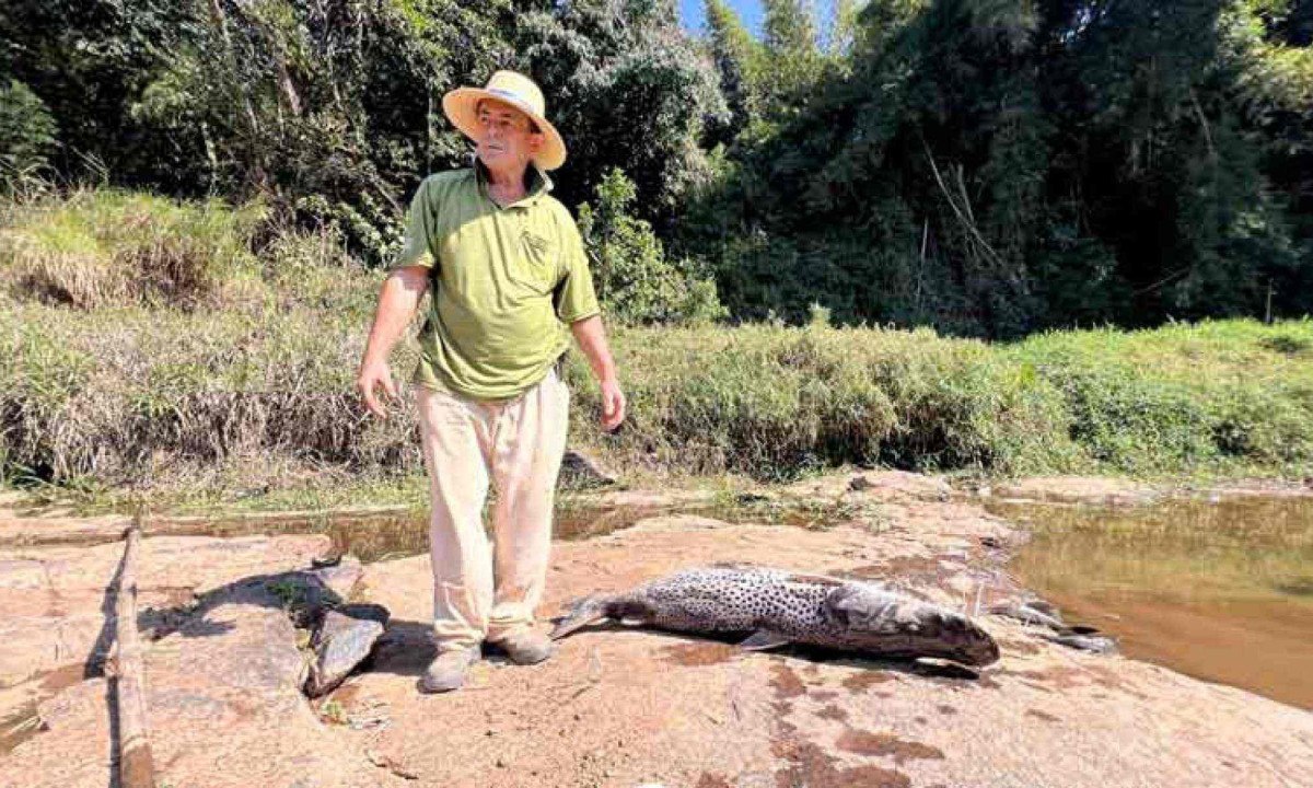 'Você olha para o rio e ele parece normal, limpo. Mas aí se depara com milhares de peixes mortos às margens. É triste demais' - Francisco Xavier de Almeida, Jardineiro, morador de Esmeraldas
