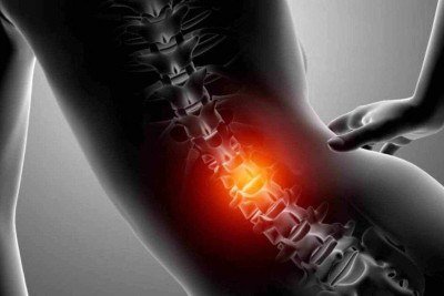 Ilustração de uma medula óssea -  (crédito: Freepik)