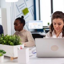 Empresas fortalecem marca empregadora para reter talentos - DINO