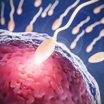 Pré-diabetes: por que a alteração da glicose afeta a fertilidade - Freepik