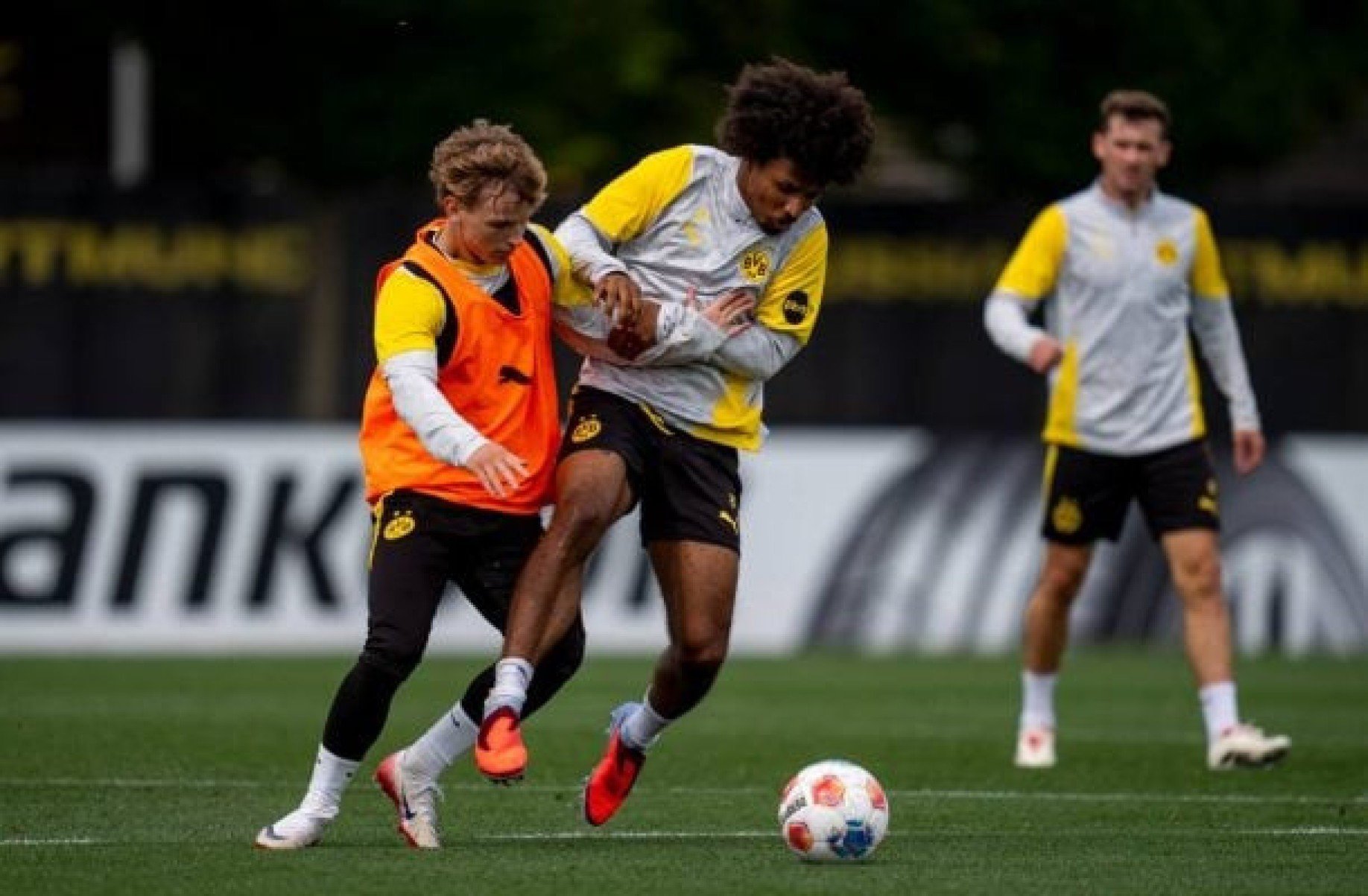 Heidenheim x Borussia Dortmund: onde assistir, escalações e arbitragem